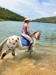 Aventure cheval - Randonnées équestre Var - La Crau