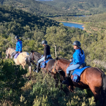 Aventure cheval - Randonnées équestre Var - La Crau