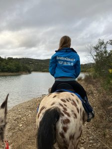 Aventure cheval - Randonnées équestre Var - La Crau