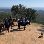 Aventure cheval - Randonnées équestre Var - La Crau