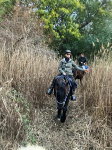 Aventure cheval - Randonnées équestre Var - La Crau