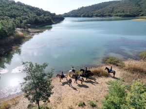 Aventure cheval - Randonnées équestre Var - La Crau