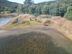Aventure cheval - Randonnées équestre Var - La Crau