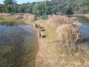 Aventure cheval - Randonnées équestre Var - La Crau