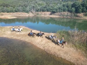 Aventure cheval - Randonnées équestre Var - La Crau