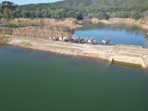 Aventure cheval - Randonnées équestre Var - La Crau