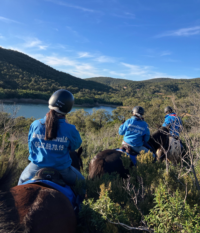 Aventure cheval - Randonnées équestre Var - La Crau