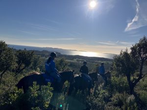 Aventure cheval - Randonnées équestre Var - La Crau