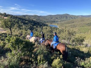 Aventure cheval - Randonnées équestre Var - La Crau