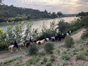 Aventure cheval - Randonnées équestre Var - La Crau