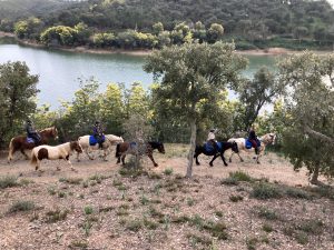 Aventure cheval - Randonnées équestre Var - La Crau
