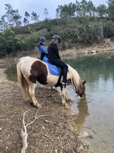 Aventure cheval - Randonnées équestre Var - La Crau