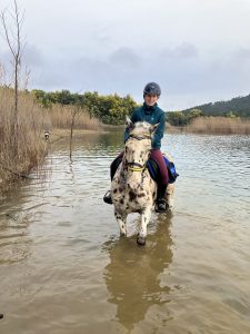 Aventure cheval - Randonnées équestre Var - La Crau