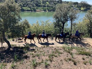 Aventure cheval - Randonnées équestre Var - La Crau
