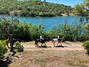 Aventure cheval - Randonnées équestre Var - La Crau