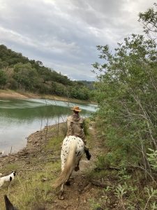 Aventure cheval - Randonnées équestre Var - La Crau