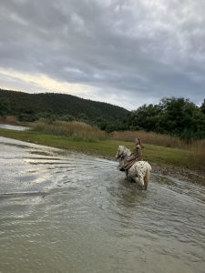 Aventure cheval - Randonnées équestre Var - La Crau