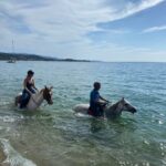 Aventure cheval - Randonnées équestre Var - La Crau