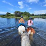 Aventure cheval - Randonnées équestre Var - La Crau