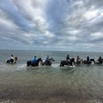 Aventure cheval - Randonnées équestre Var - La Crau