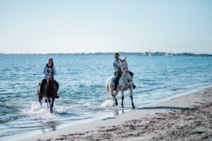 Aventure cheval - Randonnées équestre Var - La Crau