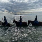 Aventure cheval - Randonnées équestre Var - La Crau