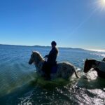 Aventure cheval - Randonnées équestre Var - La Crau