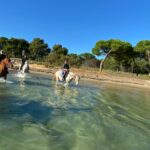 Aventure cheval - Randonnées équestre Var - La Crau