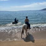 Aventure cheval - Randonnées équestre Var - La Crau