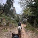 Aventure cheval - Randonnées équestre Var - La Crau