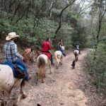 Aventure cheval - Randonnées équestre Var - La Crau